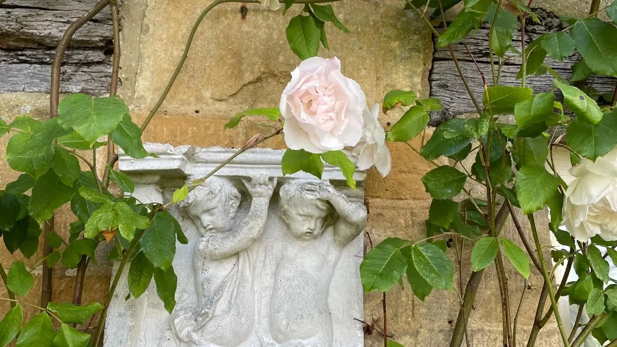 Self-Nurturing